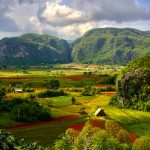 Exploration of Rural King Farms And Development In America