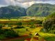 Exploration of Rural King Farms And Development In America