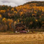 5 Good Things About Rural Life: Embracing the Benefits of Living Away from the City
