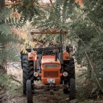 What is Agriculture and What is Its Importance to Rural Development?
