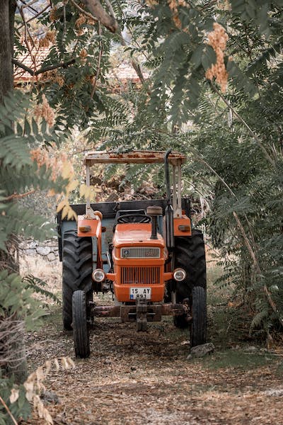 Cultivating Success: Exploring the Agriculture Definition and its Impact on Rural Economic Growth.