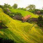 5 Good Things About Rural Life: Embracing the Benefits of Living Away from the City