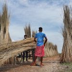 Understanding the Imperative for Rural Livelihood Diversification in the 2000s