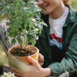 Cultivating Success: Exploring the Agriculture Definition and its Impact on Rural Economic Growth.