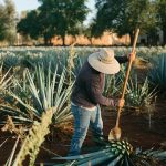 Talent Desire: The Key to Rural Development