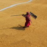 10 Disadvantages of Rural Life Vs 10 Advantages of Urban Life
