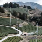 What Japanese Rural Life Adventure And Experiences Await You?
