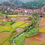Advantages and Disadvantages of Teaching in Rural Schools