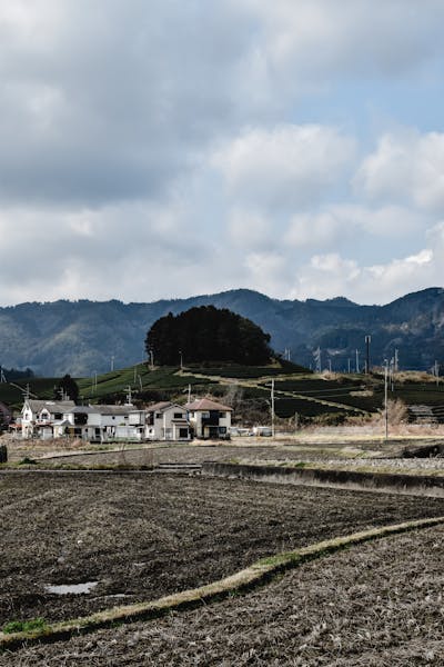 What Japanese Rural Life Adventure And Experiences Await You?