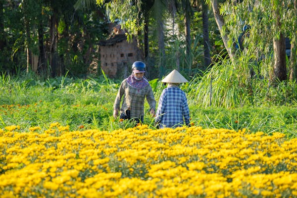 The Advantage of Rural Life in Developing and Developed Economies